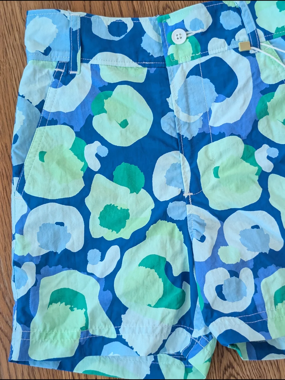 Emily McCarthy Blue Green Sea Glass Cheetah Print Boys Swim Trunks Shorts